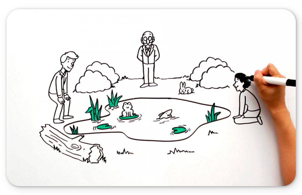 Whiteboard animation